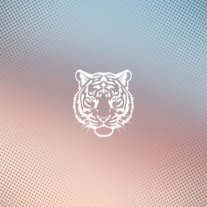 Tiger eye distance bracelets