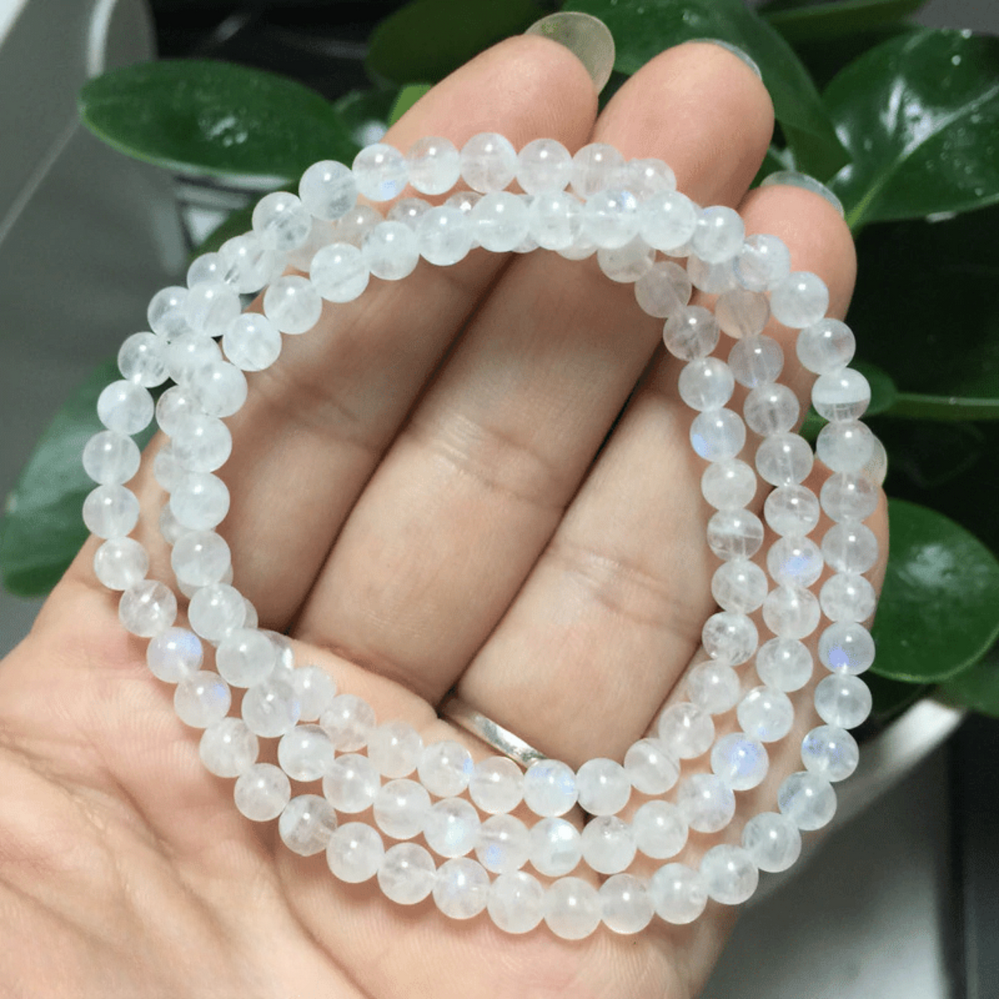 Bracelet Triple in Moonstone